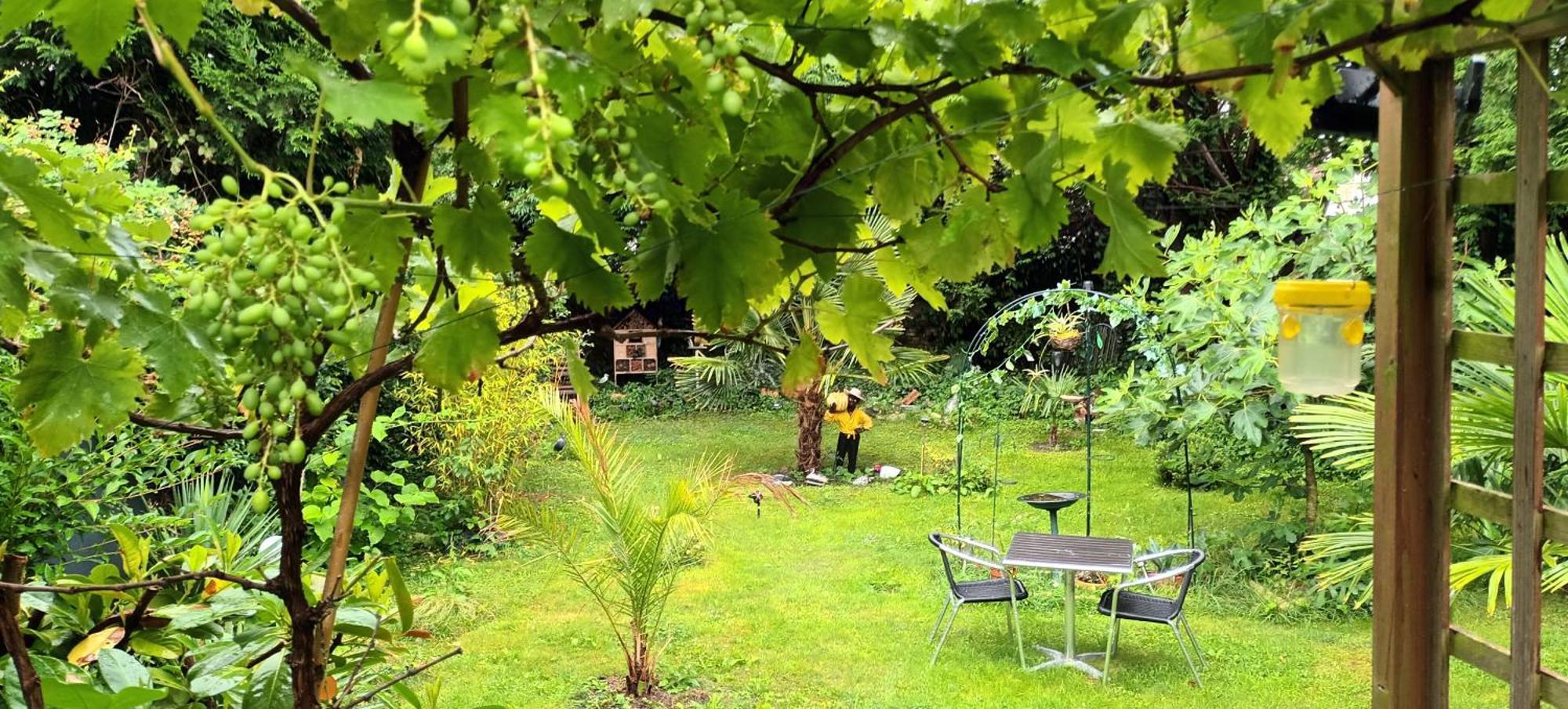 Gite Du Jardin Secret Saint-Valery-sur-Somme Exterior photo